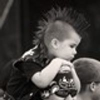 al2206