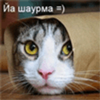 Vasko