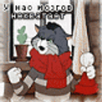 cvbnnb3