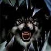 Wolf312