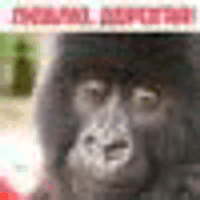 redeledeDeada