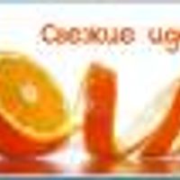 dizainer25