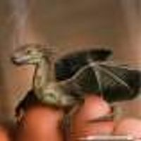 Uroboros_a