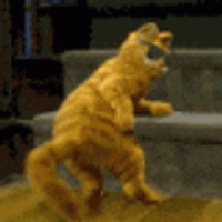 badredcat